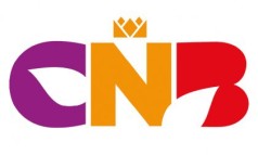 News image: Koninklijk logo